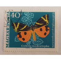 Венгрия, бабочка