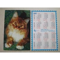 Карманный календарик . Котик. Белпочта. 2002 год