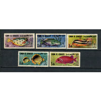 Умм-эль-Кайвайн - 1967 - Рыбки - 5 марок. MNH, MLH.  (Лот 85EK)-T7P18