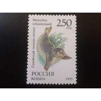 Россия 1993 тюлень