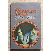 Попугаи у нас дома | П.В.Чернушин, А.М.Дорофеев