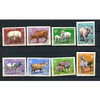 Вьетнам - 1979 - Сельскохозяйственные животные - [Mi. 1020-1027] - полная серия - 8 марок. Гашеные.  (Лот 8Do)