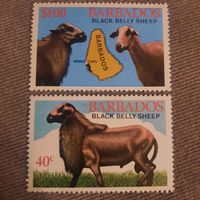 Барбадос 1982. Овцы. Black Belly Sheep