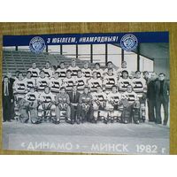 Хоккейный Клуб - "Динамо" Минск - Сезон 1982 года - Размеры Постера - 21/29 см.