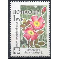 Флора СССР 1960 год 1 марка