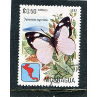 Никарагуа. Фауна. Бабочки