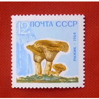 СССР. Грибы. ( 1 марка ) 1964 года.