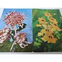 2 вьетнамские открытки с фото цветов