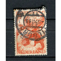 Нидерланды - 1945 - Освобождение от немецкой оккупации - [Mi. 443] - полная серия - 1 марка. Гашеная.  (LOT DY37)-T10P10