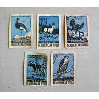 Спичечные этикетки Беловежская пуща Животные 5 штук Синие Борисов 1960