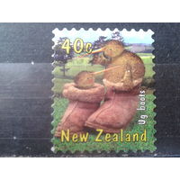 Новая Зеландия 2000 Киви*