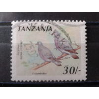 Танзания 1991 Стандарт, птицы