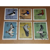 Польша 1964 Фауна Птицы 6 марок