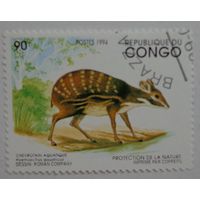 Конго.1994.агути