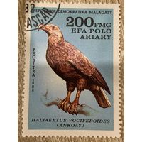 Мадагаскар 1982. Хищные птицы. Haliaeetus Vociferoides. Марка из серии