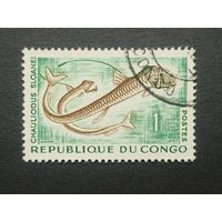 Конго 1961. Тропические рыбы