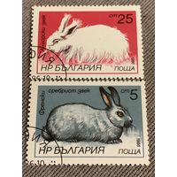 Болгария 1986. Кролики. Марки из серии