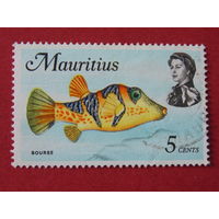 Маврикий 1969 г. Морская фауна.