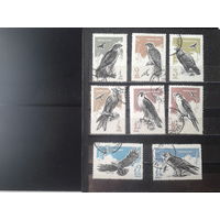 1965, Хищные птицы, полная серия