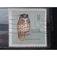 Польша 1960 Охраняемые птицы, филин