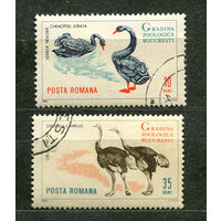 Фауна. Птицы. Румыния. 1964. Серия 2 марки