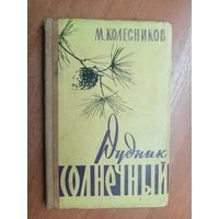 Михаил Колесников "Рудник солнечный"