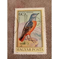 Венгрия 1973. Птицы