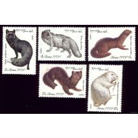 5 марок 1980 год Ценные породы пушных зверей 5018-5022