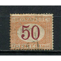 Королевство Италия - 1870/1894 - Доплатная марка - Цифры - 50c - водяной знак перевернут вправо - 1 марка. Гашеная.  (Лот 40Dv)