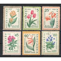 Цветы Болгария 1960 год серия из 6 марок