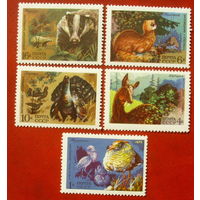 СССР. Фауна СССР. ( 5 марок ) 1975 года. 5-8.