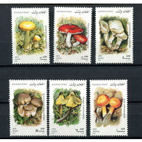Афганистан - 2001 - Грибы - [Mi. 1951-1956] - полная серия - 6 марок. MNH.  (Лот 151BH)