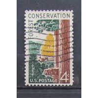 США 1958г. Сохранение леса
