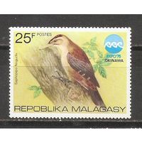 КГ Малагаси 1975 Птица