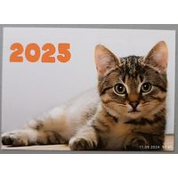 Котэ. Календарик, 2025