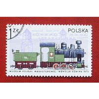 Польша. Паровоз. ( 1 марка ) 1973 года. 4-18.