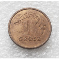 1 грош 1993 Польша #03