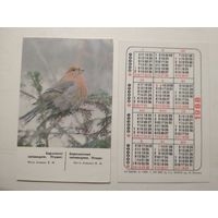 Карманный календарик. Березинский заповедник. Птицы. 1988 год