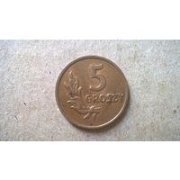 Польша 5 грошей, 1949г. Бронза. (D-53)