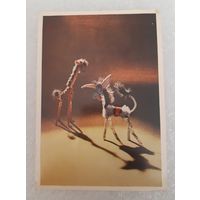 Открытка. Жираф и ослик, 1966 г. Чистая