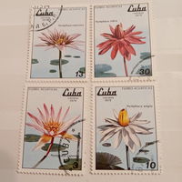 Куба 1979. Водные лилии