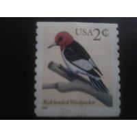 США 1999 птица