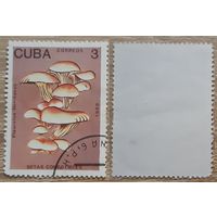 Куба 1989 Съедобные грибы.3 с