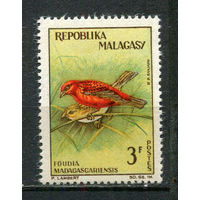 Малагасийская республика - 1963 - Птицы 3Fr - [Mi.497] - 1 марка. MNH.  (Лот 34Fy)-T25P31