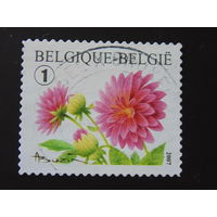 Бельгия 2007 г. Цветы.