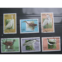 Марки - фауна, Куба, птицы