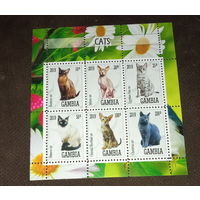 Серия блоков кошки животные фауна  MNH