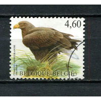 Бельгия - 2009 - Птица - [Mi. 3917] - полная серия - 1 марка. Гашеная.  (Лот 12EB)-T7P3