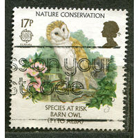 Фауна. Сова. Сохраним природу. EUROPA CEPT. 1986. Великобритания