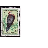 Новая Каледония-1967, Французские колонии,(Мих.450) гаш., Фауна, Птицы